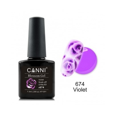 Canni Blossom Gel, для акварельной росписи № 674