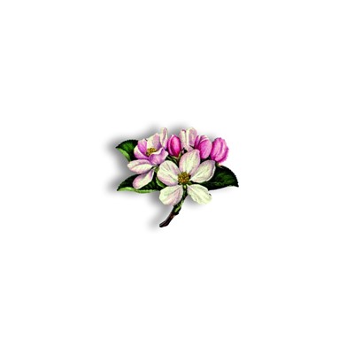 Цветок яблони - Брошь/ значок - 192