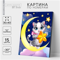 Картина по номерам на холсте с подрамником «Котик со звёздочкой», 30 х 40 см