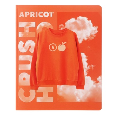 Тетрадь 48 листов в клетку на скрепке Apricot, обложка мелованный картон, матовая лаимнация, МИКС