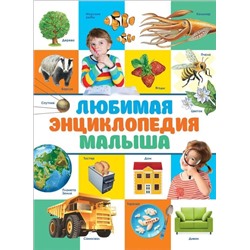 Любимая энциклопедия малыша