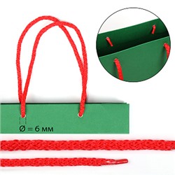 Шнурок для пакетов с крючком вязанный полипропилен пп6 d6мм L40см цв.18 красный (уп 100шт/50пар) упак