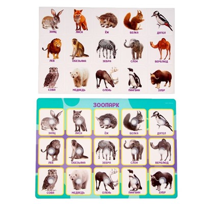 Развивающая игра на липучках «‎Животные зоопарка»,‎ по методике Г. Домана