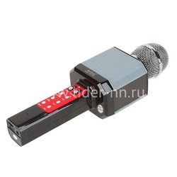 Колонка-микрофон (WS-1828) Bluetooth/USB/micro SD/LED/караоке/меняет голос (черная)