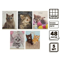 Комплект тетрадей из 5 штук, 48 листов в клетку Calligrata "Милые котята", обложка мелованный картон, блок №2, белизна 75% (серые листы)
