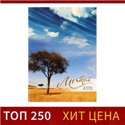 Тетрадь А4, 48 листов в клетку Calligrata "Мечтай", обложка мелованный картон, блок офсет