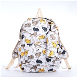 Рюкзак школьный из текстиля на молнии, 3 кармана, пенал, цвет белый/разноцветный