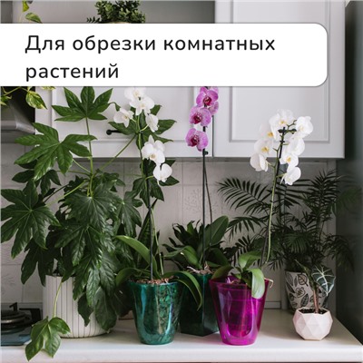 Ножницы садовые, 7" (18 см), с пластиковыми ручками, Greengo