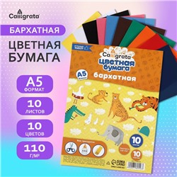 Набор бумаги бархатной А5, 10 листов, 10 цветов, плотность 110г/м2