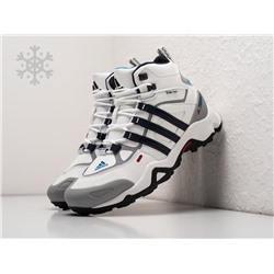 Зимние Ботинки Adidas Terrex Winter