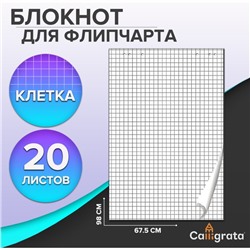 Блокнот для флипчарта в клетку Calligrata, 67.5 х 98 см, 20 листов, 80 г/м2, белизна 92%