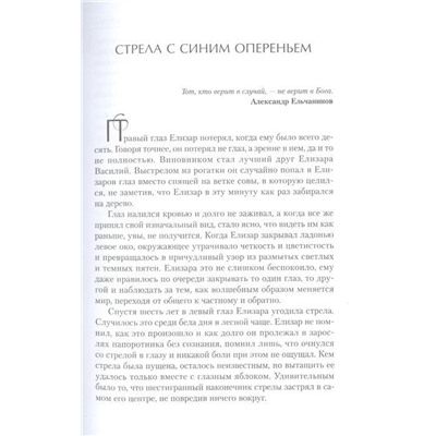 Ульяна Колесова: Суп из крыла ангела. Притчи о любви