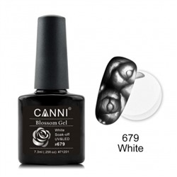 Canni Blossom Gel, для акварельной росписи № 679