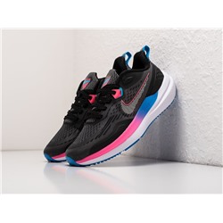 Кроссовки Nike Zoom Winflo 9