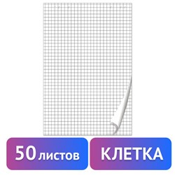 Блокнот для флипчарта ПЛОТНЫЙ 80 г/м2, BRAUBERG, 67,5х98 см, 50 листов, белый (КЛЕТКА), 128647