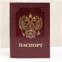 Обложка для паспорта 4-704