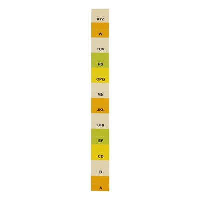 Папка на резинке А65, 12 отделений, прозрачная