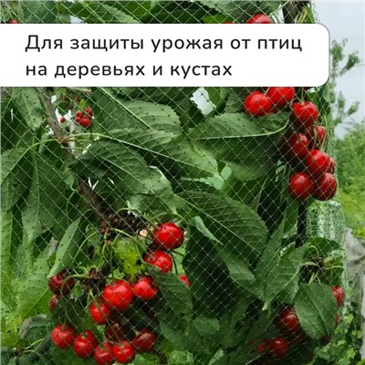 Сетка садовая, мягкая, 5 × 2 м, ячейка 15 × 15 мм, от птиц, Greengo