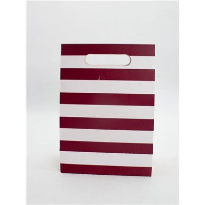 Пакет подарочный (M) "Many stripes", red (19x 9 x 27)