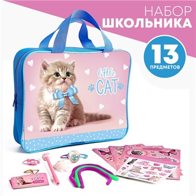 Подарочный набор школьника «Котик», 13 предметов