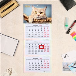 Календарь квартальный, мини-трио "Кот" 2024 год, 19х46 см