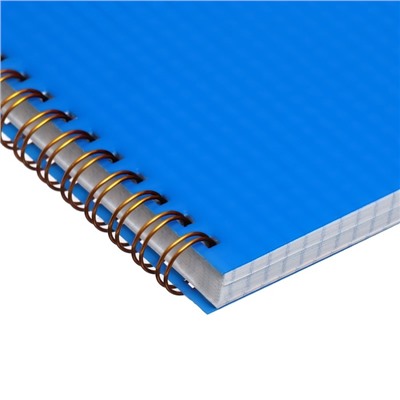 Тетрадь на гребне A5 96 листов в клетку Calligrata Синяя, пластиковая обложка, блок офсет