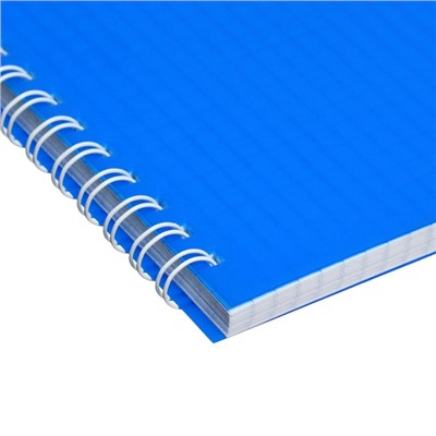 Тетрадь на гребне A4 48 листов в клетку Calligrata Синяя, пластиковая обложка, блок офсет