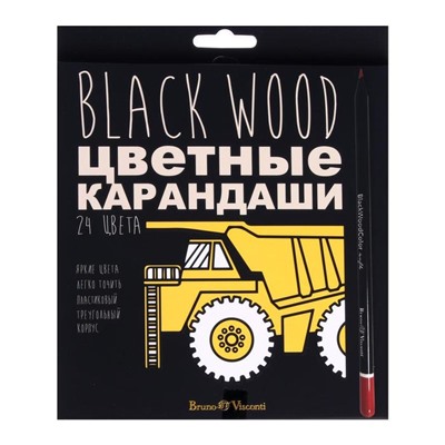 Карандаши 24 цвета BlackWoodColor, пластиковые, трёхгранные, МИКС