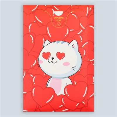 Бум-открытка «Влюблённый кот», сердечки , 12 х 18.5 см