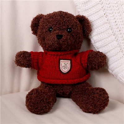 Мягкая игрушка «Медведь» в кофте, 28 см, цвет МИКС