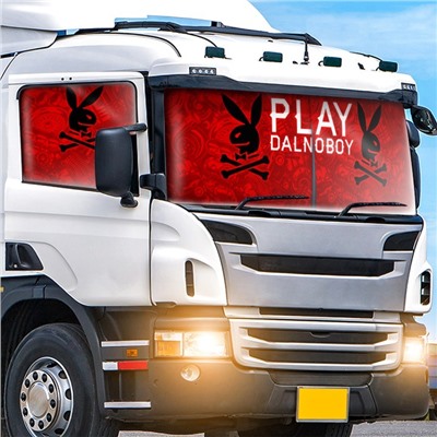 Автошторы Play dalnoboy