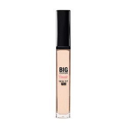 ETUDE HOUSE Big Cover Skin Fit Маскирующий консилер PRO