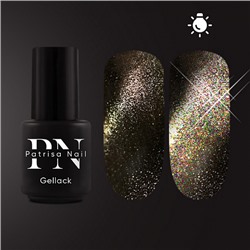 Patrisa Nail, Гель-лак Wild Night Flash Magnetic (горький шоколад), 3,5 мл