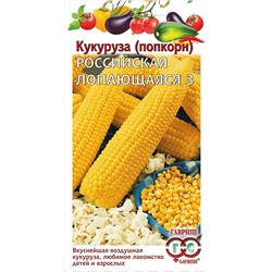Кукуруза (попкорн) Российская лопающаяся 3