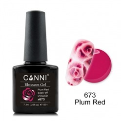 Canni Blossom Gel, для акварельной росписи № 673