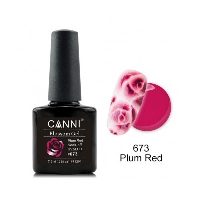 Canni Blossom Gel, для акварельной росписи № 673