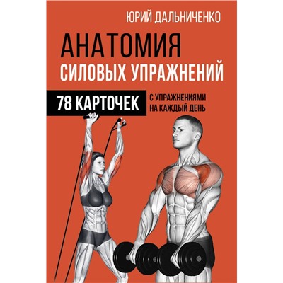 Юрий Дальниченко: Анатомия силовых упражнений (78 карточек)
