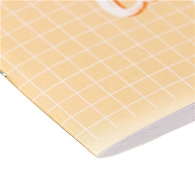 Тетрадь для скетчей А5, 16 листов "Капибара", обложка мелованный картон, блок 100 г/м2