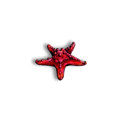 Красная морская звезда - Брошь/ значок - 309