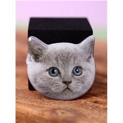 Попсокет "Beautiful cat", grey