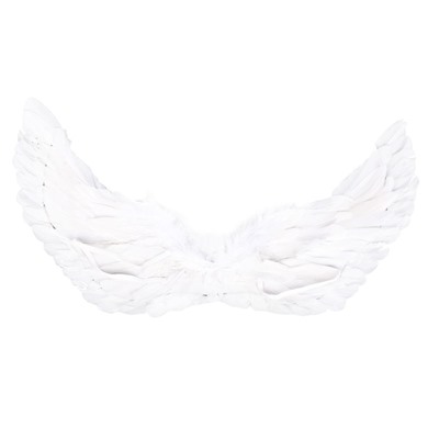 Карнавальные крылья 30 × 60, цвета МИКС