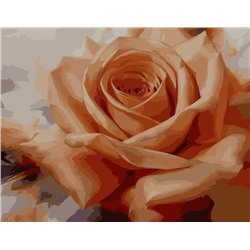 Картина по номерам 40х50 - Оранжевая роза (худ. Левашов И.)