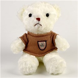 Мягкая игрушка «Медведь» в кофте, 29 см, цвет белый