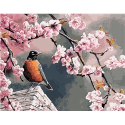 Картина по номерам 40х50 - Птица и Сакура