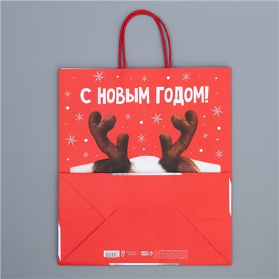 Пакет подарочный крафтовый «Олень ты», 28 × 32 × 15 см