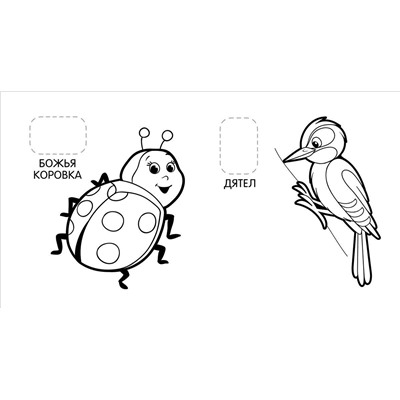 Животные в лесу (Первая раскраска с наклейками)