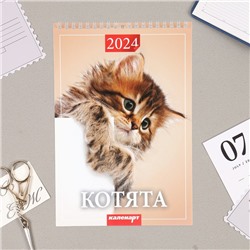 Календарь на пружине без ригеля "Котята" 2024 год, 17х25 см