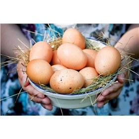 Ко-Ко-Ко: куриные яйца ( домашняя, фермерская продукция).