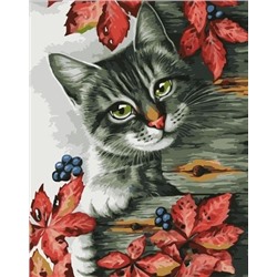 Картина по номерам 40х50 - Кот и ягоды