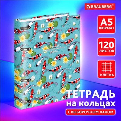 Тетрадь на кольцах А5 160х212 мм, 120 листов, картон, выборочный лак, клетка, BRAUBERG, "Карпы Кои", 404730